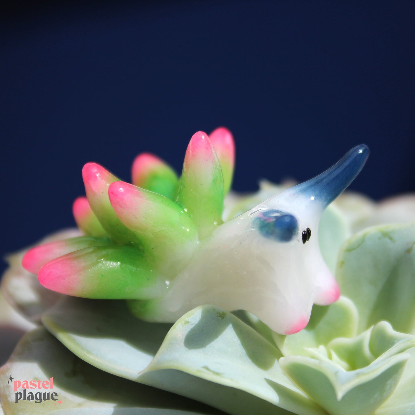 Sea sheep, Leaf Slug (Costasiella kuroshimae)